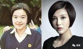 港星爆料港星整容视频,视频曝光惊人内幕